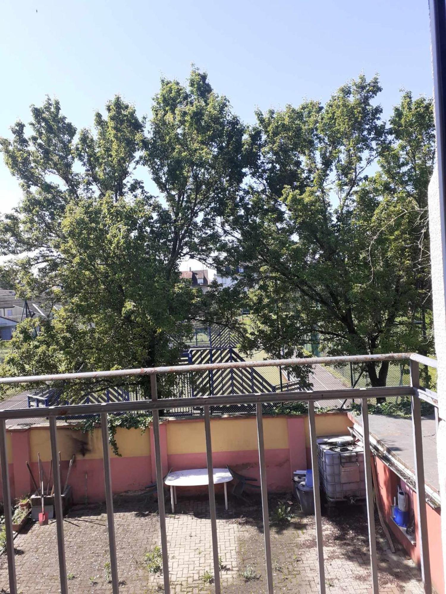 Apartment Cosy 3 Pieces Strasbourg *